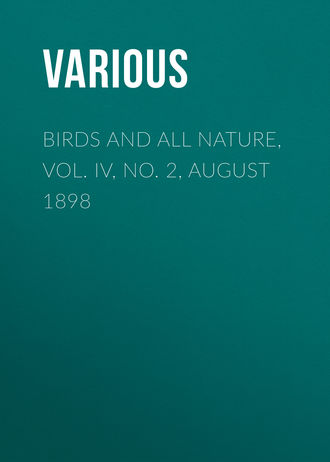 Обложка книги «Birds and all Nature, Vol. IV, No. 2, August 1898»