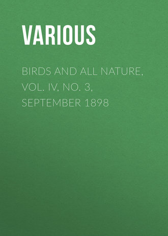 Обложка книги «Birds and all Nature, Vol. IV, No. 3, September 1898»
