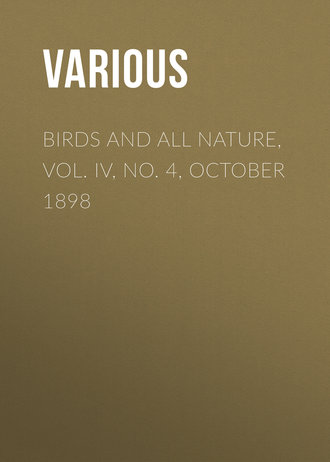 Обложка книги «Birds and all Nature, Vol. IV, No. 4, October 1898»