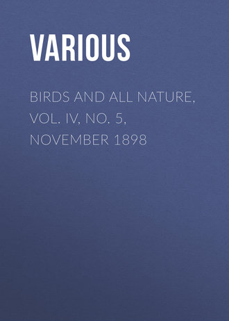 Обложка книги «Birds and All Nature, Vol. IV, No. 5, November 1898»