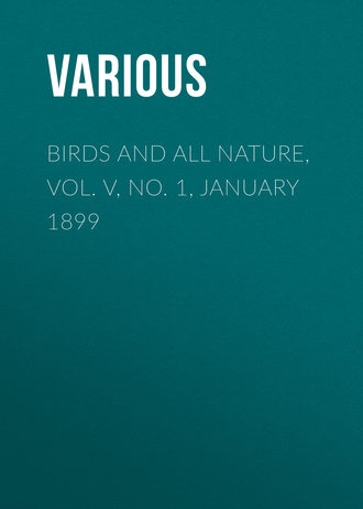 Обложка книги «Birds and all Nature, Vol. V, No. 1, January 1899»