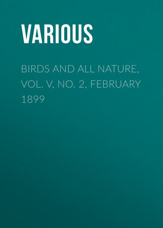 Обложка книги «Birds and all Nature, Vol. V, No. 2, February 1899»