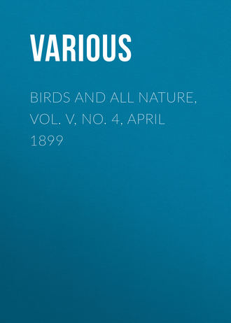 Обложка книги «Birds and All Nature, Vol. V, No. 4, April 1899»