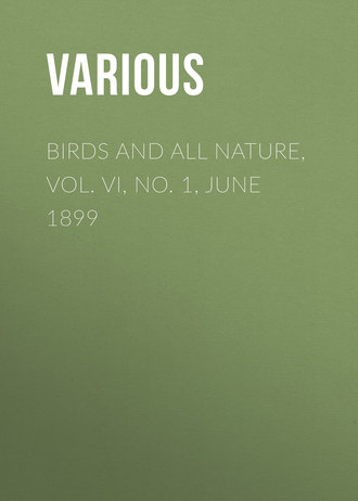 Обложка книги «Birds and All Nature, Vol. VI, No. 1, June 1899»