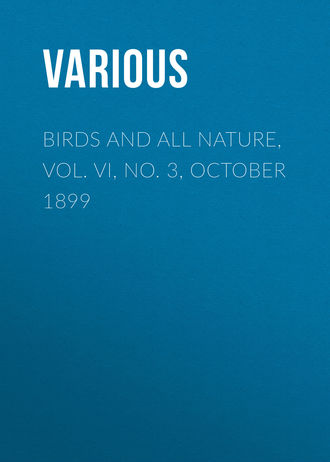 Обложка книги «Birds and All Nature, Vol. VI, No. 3, October 1899»
