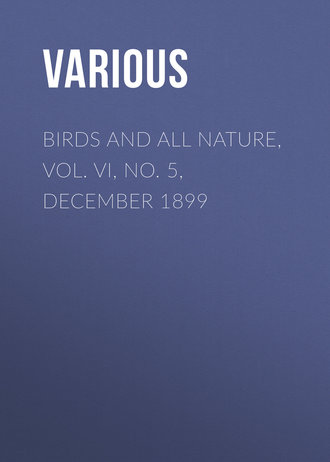 Обложка книги «Birds and All Nature, Vol. VI, No. 5, December 1899»