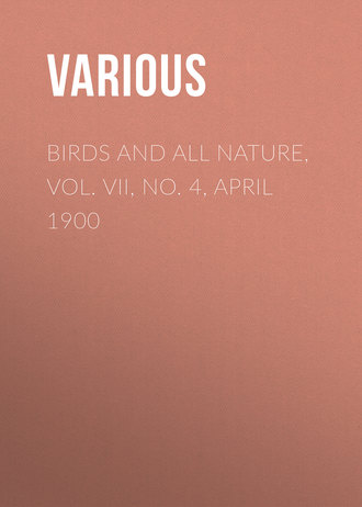 Обложка книги «Birds and all Nature, Vol. VII, No. 4, April 1900»