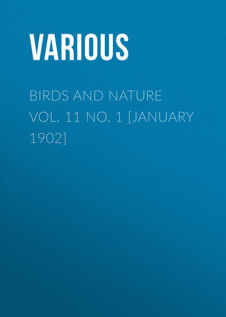 Обложка книги «Birds and Nature Vol. 11 No. 1 [January 1902]»