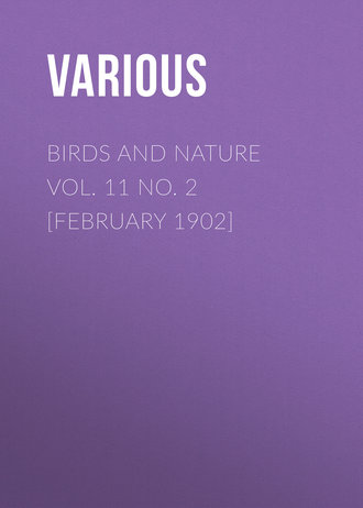 Обложка книги «Birds and Nature Vol. 11 No. 2 [February 1902]»