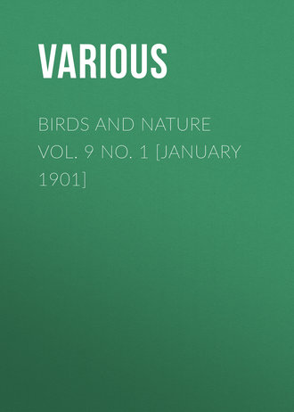 Обложка книги «Birds and Nature Vol. 9 No. 1 [January 1901]»