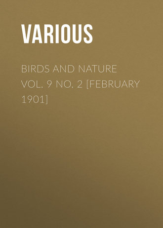 Обложка книги «Birds and Nature Vol. 9 No. 2 [February 1901]»