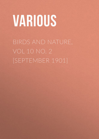 Обложка книги «Birds and Nature, Vol 10 No. 2 [September 1901]»
