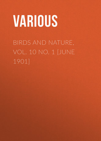 Обложка книги «Birds and Nature, Vol. 10 No. 1 [June 1901]»