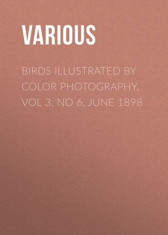 Обложка книги «Birds Illustrated by Color Photography, Vol 3. No 6, June 1898»
