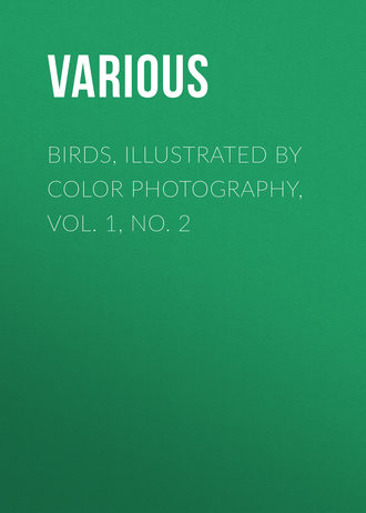 Обложка книги «Birds, Illustrated by Color Photography, Vol. 1, No. 2»