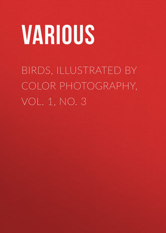 Обложка книги «Birds, Illustrated by Color Photography, Vol. 1, No. 3»