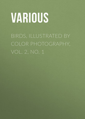 Обложка книги «Birds, Illustrated by Color Photography, Vol. 2, No. 1»