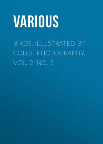 Обложка книги «Birds, Illustrated by Color Photography, Vol. 2, No. 3»