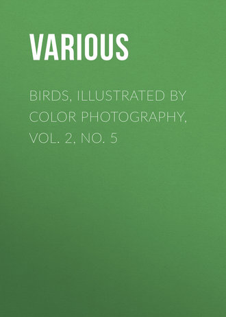 Обложка книги «Birds, Illustrated by Color Photography, Vol. 2, No. 5»