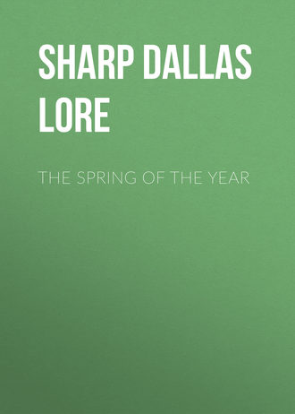 Обложка книги «The Spring of the Year»