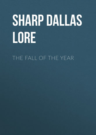 Обложка книги «The Fall of the Year»