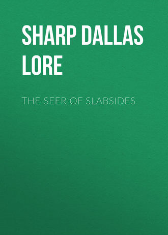 Обложка книги «The Seer of Slabsides»