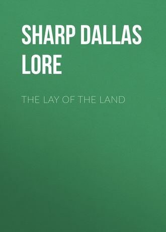 Обложка книги «The Lay of the Land»