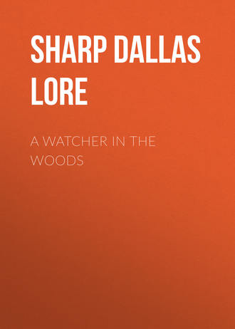 Обложка книги «A Watcher in The Woods»