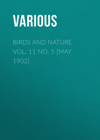 Обложка книги «Birds and Nature Vol. 11 No. 5 [May 1902]»