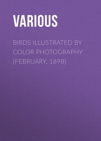 Обложка книги «Birds Illustrated by Color Photography [February, 1898]»