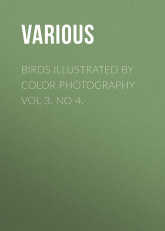 Обложка книги «Birds Illustrated by Color Photography Vol 3. No 4.»