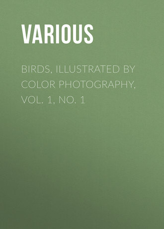 Обложка книги «Birds, Illustrated by Color Photography, Vol. 1, No. 1»