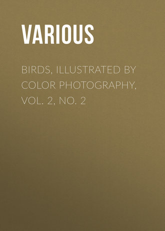 Обложка книги «Birds, Illustrated by Color Photography, Vol. 2, No. 2»