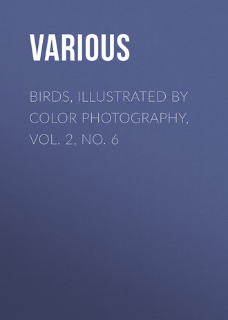 Обложка книги «Birds, Illustrated by Color Photography, Vol. 2, No. 6»
