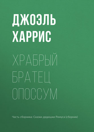 Обложка книги «Храбрый Братец Опоссум»