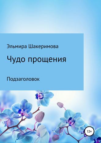 Обложка книги «Чудо прощения»