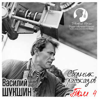 Обложка книги «Сборник рассказов. Том 4»