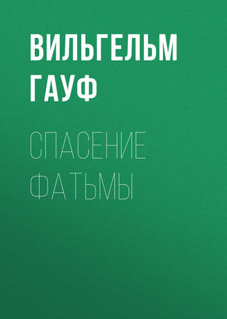 Обложка книги «Спасение Фатьмы»