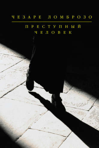 Обложка книги «Политическая преступность»