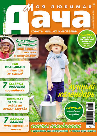 Обложка книги «Моя любимая дача №06/2017»