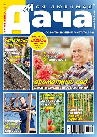 Обложка книги «Моя любимая дача №09/2017»