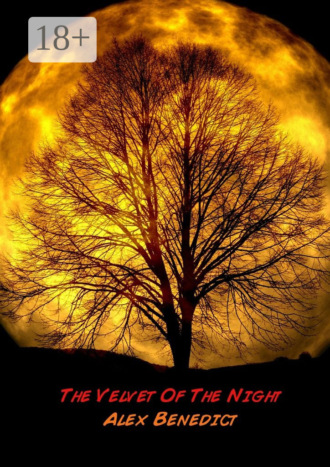 Обложка книги «The Velvet Of The Night»