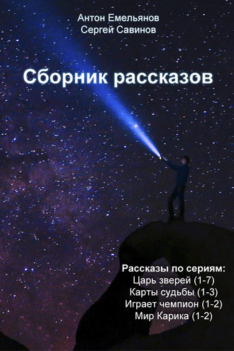 Обложка книги «Сборник рассказов»