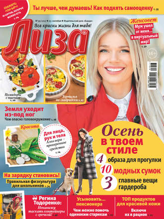 Обложка книги «Журнал «Лиза» №39/2017»