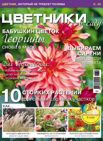 Обложка книги «Цветники в саду №10/2017»
