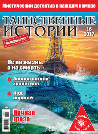 Обложка книги «Таинственные истории №16/2017»