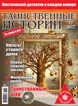 Обложка книги «Таинственные истории №17/2017»
