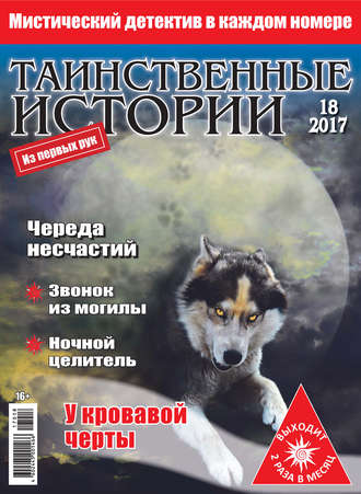 Обложка книги «Таинственные истории №18/2017»