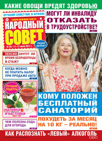 Обложка книги «Народный совет №29/2017»