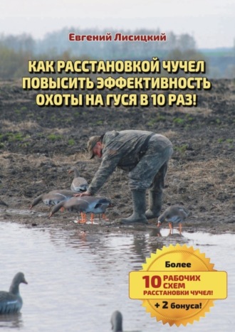 Обложка книги «Как расстановкой чучел повысить эффективность охоты на гуся в 10 раз!»